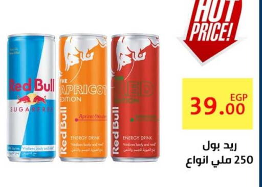 RED BULL   in Ben Seleman in Egypt - Cairo