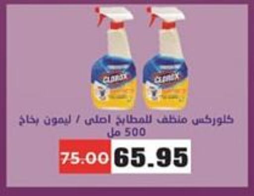 CLOROX General Cleaner  in Zaher Dairy in Egypt - Cairo