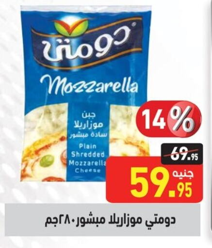 DOMTY Mozzarella  in Othaim Market   in Egypt - Cairo