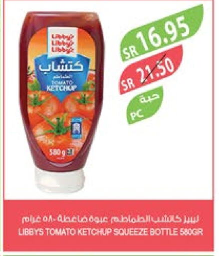  Tomato Ketchup  in Farm  in KSA, Saudi Arabia, Saudi - Dammam