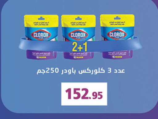 CLOROX General Cleaner  in Al Rayah Market   in Egypt - Cairo