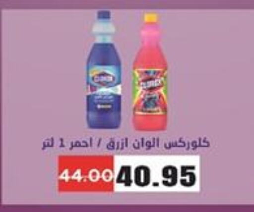 CLOROX General Cleaner  in Zaher Dairy in Egypt - Cairo