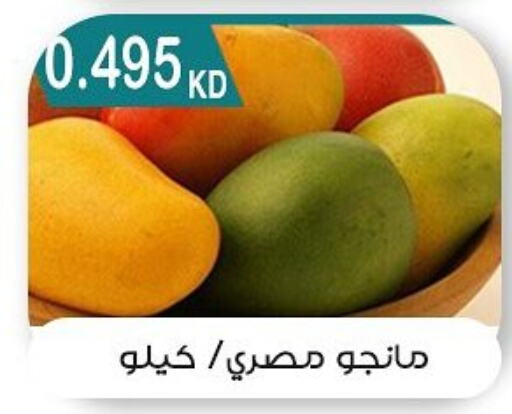  Mangoes  in Mubarak Al-Kabeer & Al-Qurain Co-Operative Society in Kuwait - Kuwait City