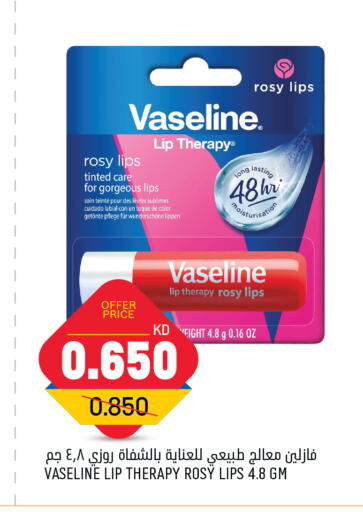 VASELINE   in Oncost in Kuwait - Jahra Governorate