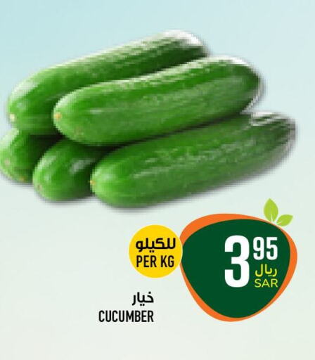 Cucumber