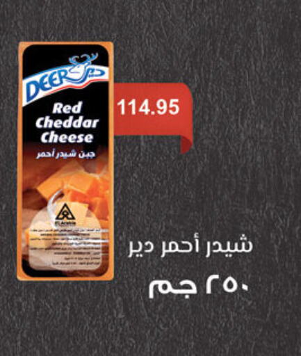  Cheddar Cheese  in Al Rayah Market   in Egypt - Cairo