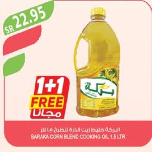  Corn Oil  in Farm  in KSA, Saudi Arabia, Saudi - Dammam