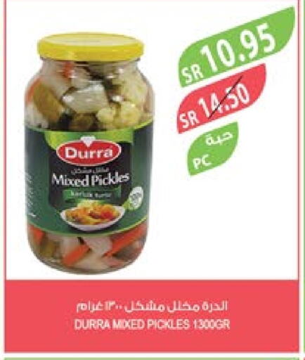 DURRA Pickle  in Farm  in KSA, Saudi Arabia, Saudi - Qatif