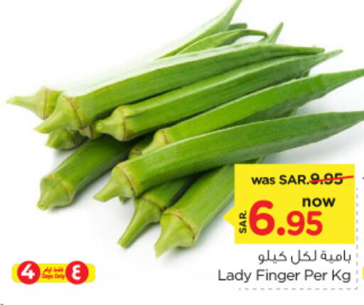  Lady's finger  in Nesto in KSA, Saudi Arabia, Saudi - Riyadh