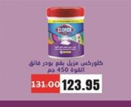 CLOROX General Cleaner  in Zaher Dairy in Egypt - Cairo