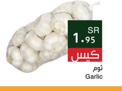 Garlic