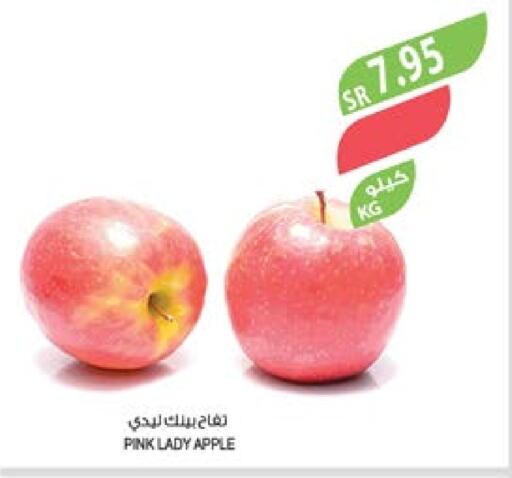  Apples  in Farm  in KSA, Saudi Arabia, Saudi - Jazan