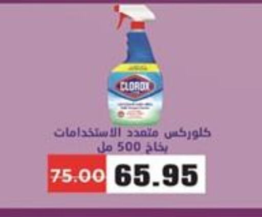 CLOROX General Cleaner  in Zaher Dairy in Egypt - Cairo