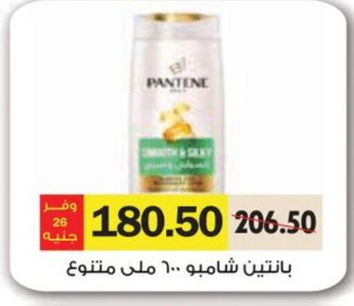 PANTENE Shampoo / Conditioner  in Royal House in Egypt - Cairo