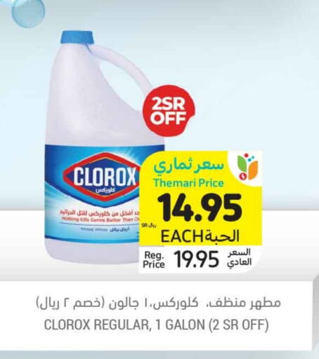 CLOROX Bleach  in Tamimi Market in KSA, Saudi Arabia, Saudi - Hafar Al Batin