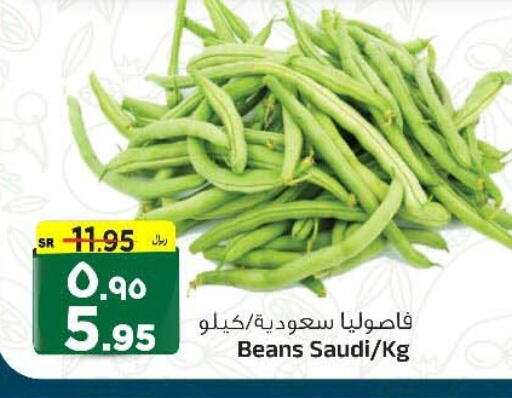  Beans  in Al Madina Hypermarket in KSA, Saudi Arabia, Saudi - Riyadh