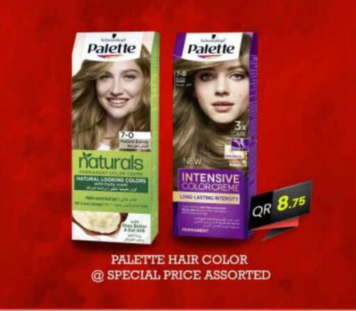 PALETTE Hair Colour  in Ansar Gallery in Qatar - Al Daayen