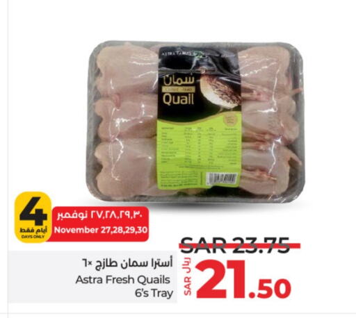  Quail  in LULU Hypermarket in KSA, Saudi Arabia, Saudi - Hail