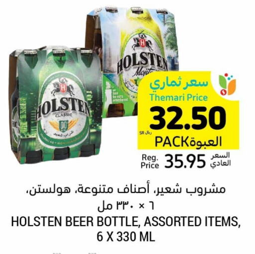 HOLSTEN