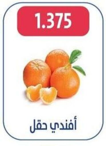  Orange  in Al Jahra Cooperative Society in Kuwait - Jahra Governorate