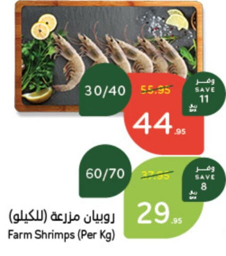    in هايبر بنده in مملكة العربية السعودية, السعودية, سعودية - بيشة