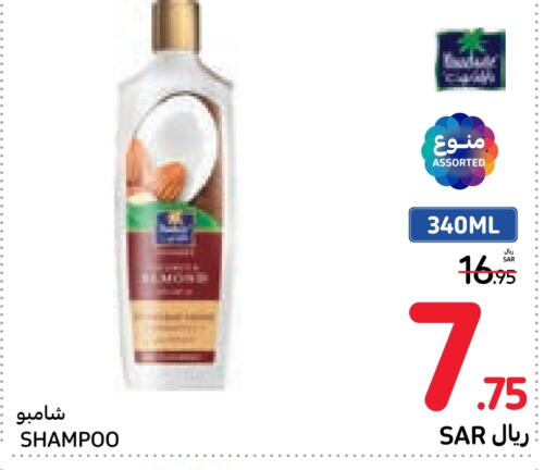 Shampoo