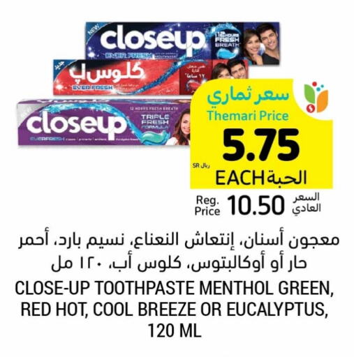 CLOSE UP Toothpaste  in Tamimi Market in KSA, Saudi Arabia, Saudi - Ar Rass