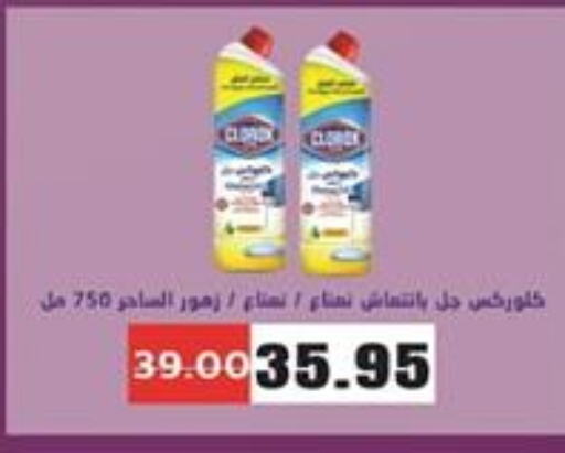 CLOROX General Cleaner  in Zaher Dairy in Egypt - Cairo