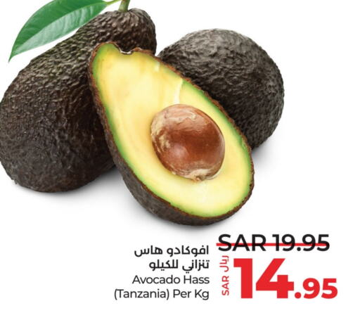  Avacado  in LULU Hypermarket in KSA, Saudi Arabia, Saudi - Al Hasa