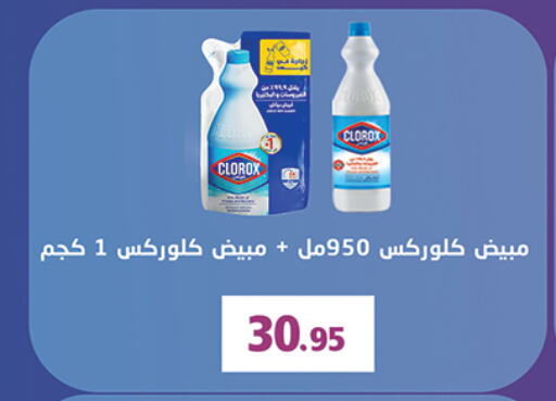 CLOROX General Cleaner  in Al Rayah Market   in Egypt - Cairo