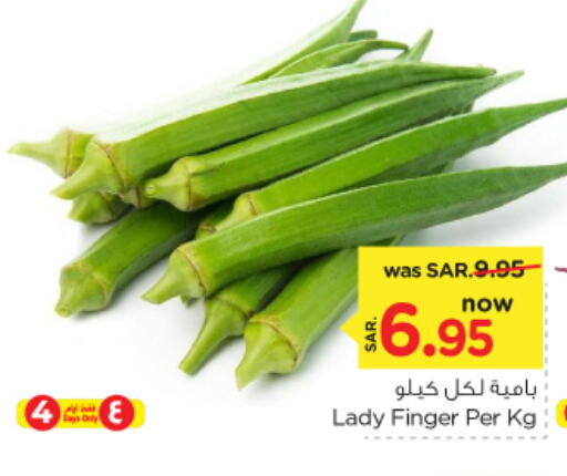  Lady's finger  in Nesto in KSA, Saudi Arabia, Saudi - Riyadh