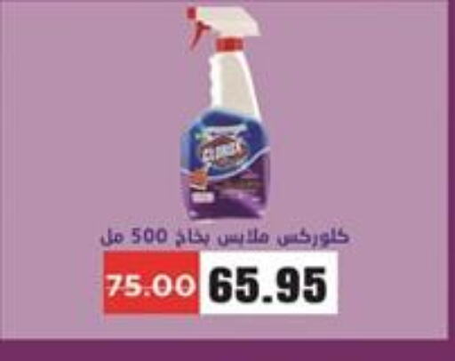 CLOROX General Cleaner  in Zaher Dairy in Egypt - Cairo