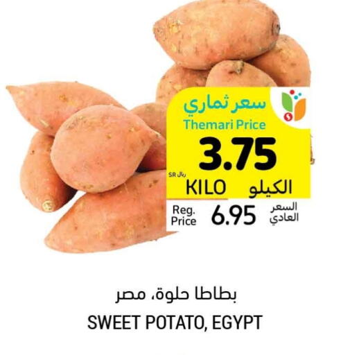  Sweet Potato  in Tamimi Market in KSA, Saudi Arabia, Saudi - Unayzah