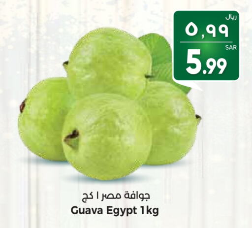 Guava