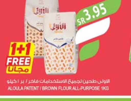  All Purpose Flour  in Farm  in KSA, Saudi Arabia, Saudi - Abha