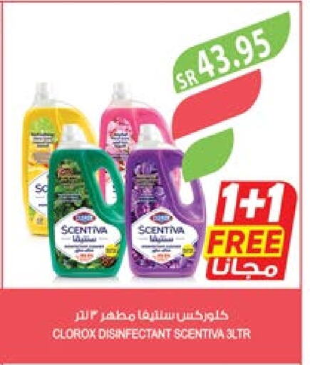 CLOROX Disinfectant  in Farm  in KSA, Saudi Arabia, Saudi - Arar