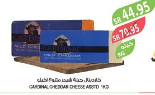  Cheddar Cheese  in Farm  in KSA, Saudi Arabia, Saudi - Saihat