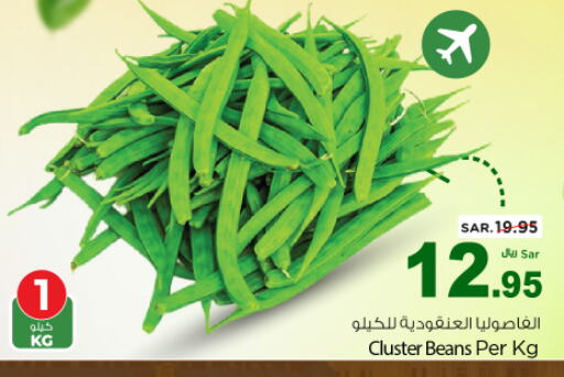  Beans  in Nesto in KSA, Saudi Arabia, Saudi - Riyadh