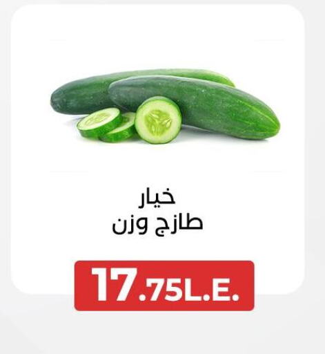 Cucumber