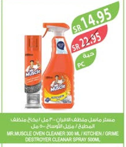 MR. MUSCLE General Cleaner  in Farm  in KSA, Saudi Arabia, Saudi - Arar