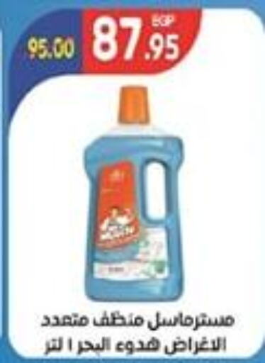  General Cleaner  in Zaher Dairy in Egypt - Cairo