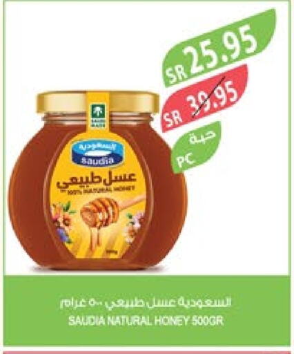 SAUDIA Honey  in Farm  in KSA, Saudi Arabia, Saudi - Al Khobar