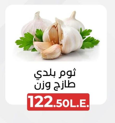 Garlic