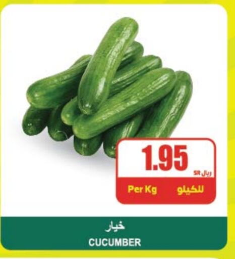 Cucumber