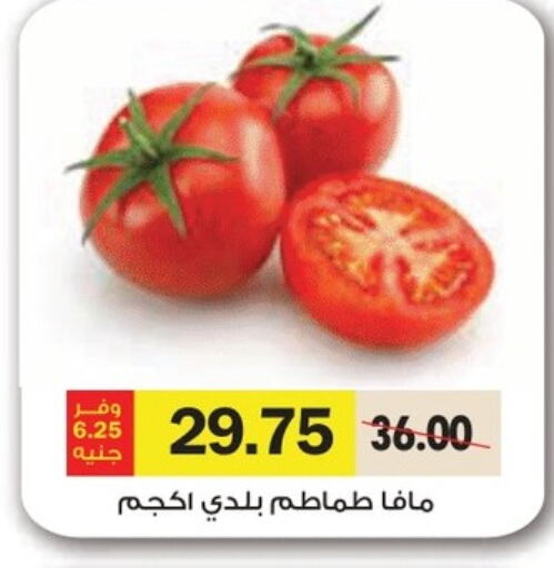  Tomato  in Royal House in Egypt - Cairo