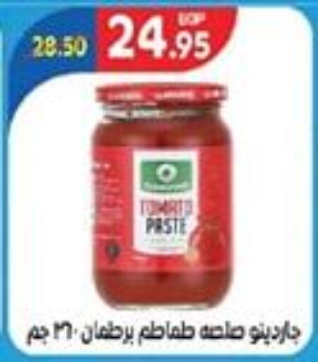  Tomato Paste  in Zaher Dairy in Egypt - Cairo