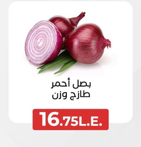 Onion