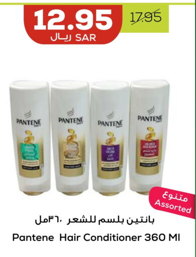 PANTENE Shampoo / Conditioner  in Astra Markets in KSA, Saudi Arabia, Saudi - Tabuk