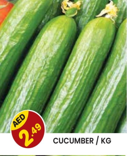 Cucumber