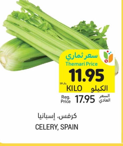  Celery  in Tamimi Market in KSA, Saudi Arabia, Saudi - Dammam